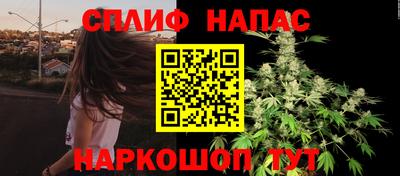 гашик Янаул