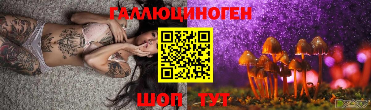 Галлюциногенные грибы Psilocybe  Вход с VPN  Барнаул 